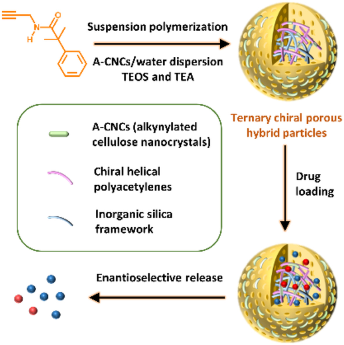 Optically active porous hybrid particles constructed by alkynylated cellulose nanocrystals, helical substituted polyacetylene, and inorganic silica for enantio‐differentiating towards naproxen