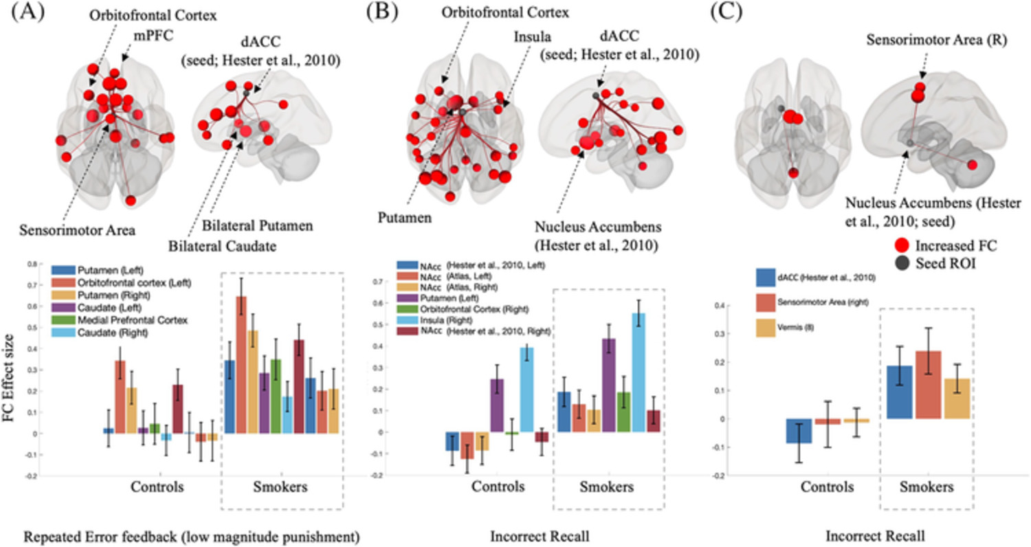 Functional connectivity during feedback learning in smokers