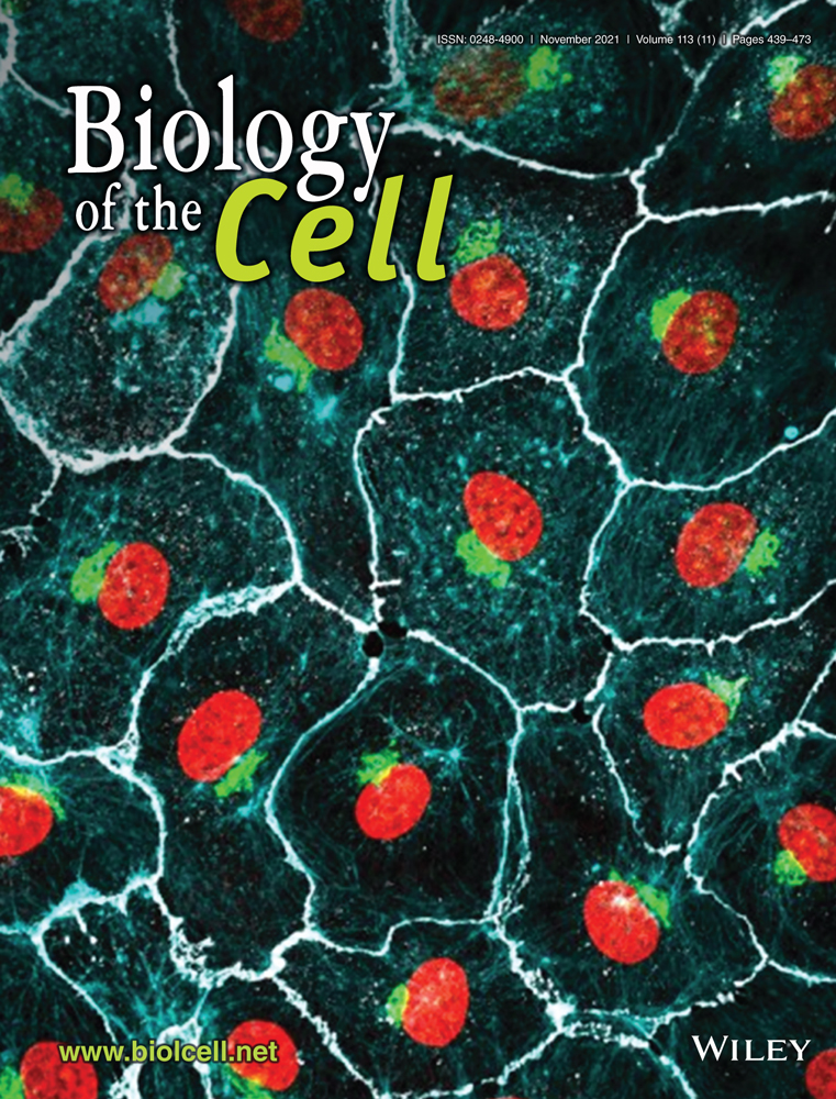 How palmitoylation affects trafficking and signalling of membrane receptors