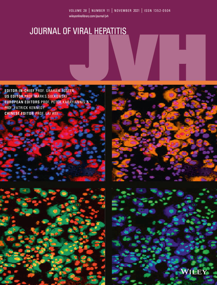 Direct‐acting antivirals reduce the risk of tumour progression of hepatocellular carcinoma after curative treatment