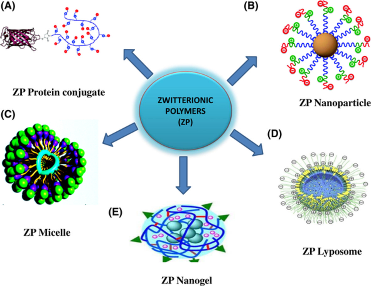 Zwitterionic polymers in drug delivery: A review