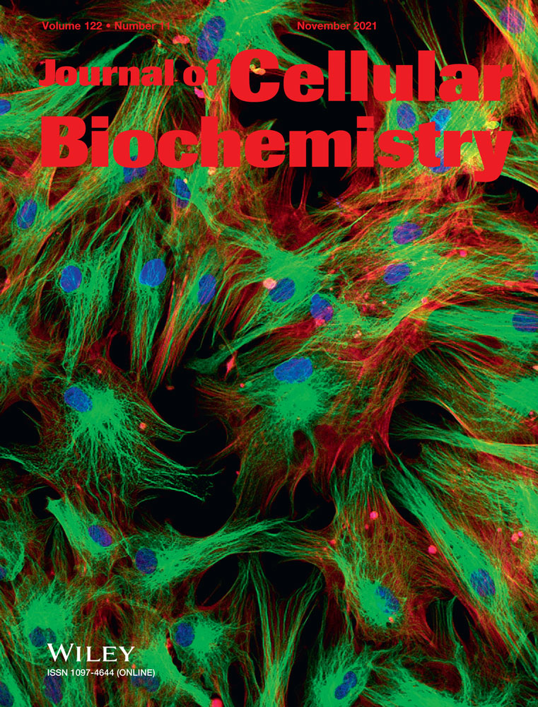 Understanding the binding mechanism for potential inhibition of SARS‐CoV‐2 Mpro and exploring the modes of ACE2 inhibition by hydroxychloroquine