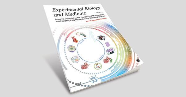 CCNB1 promotes the development of hepatocellular carcinoma by mediating DNA replication in the cell cycle