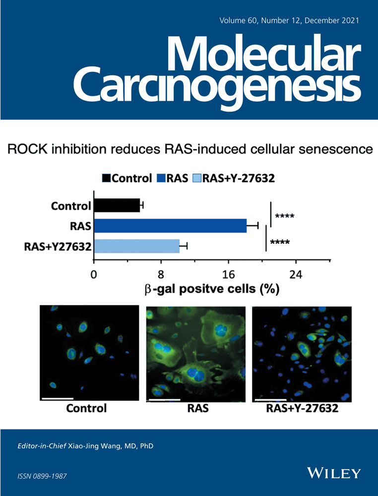 Colorectal cancer risk susceptibility loci in a Swedish population