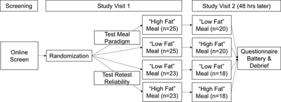 Validation of a test meal paradigm to experimentally manipulate meal‐related fears: A registered report