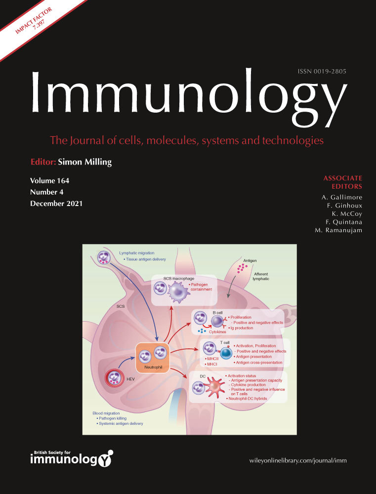 NLRP3 Knockout Enhances Immune Infiltration and Inflammatory Responses and Improves Survival in a Burn‐Sepsis Model