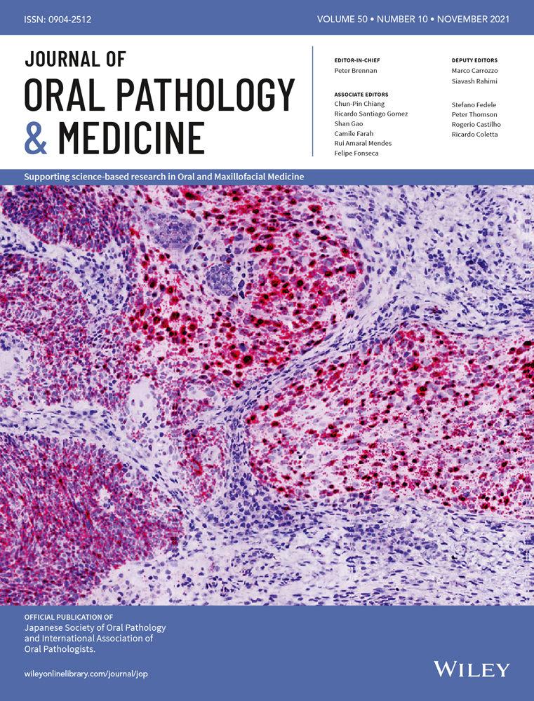 The Oral Histopathological and Immunological Characteristics of a Xenogeneic Mouse Chronic Graft‐versus‐host Disease Model