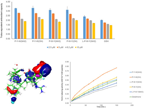 Virtual screening and rational design of antioxidant peptides based on tryptophyllin L structures isolated from the Litoria rubella frog