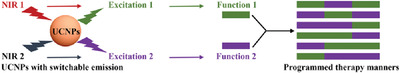 Recent Progress in Utilizing Upconversion Nanoparticles with Switchable Emission for Programmed Therapy