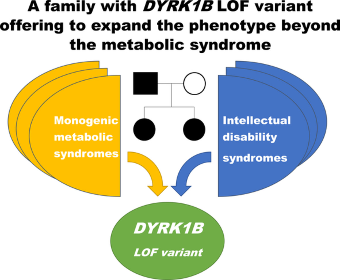 DYRK1B haploinsufficiency in a family with metabolic syndrome and abnormal cognition