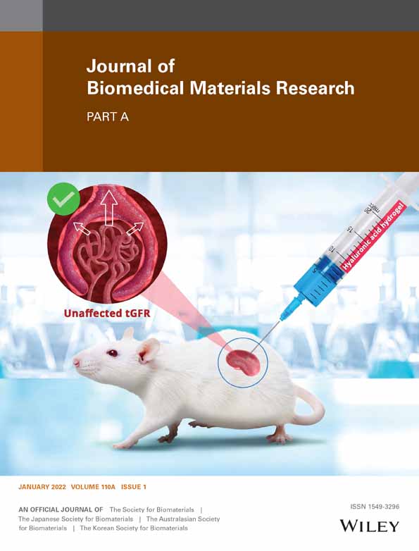 Implantable magnetic nanofibers with ON–OFF switchable release of curcumin for possible local hyperthermic chemotherapy of melanoma