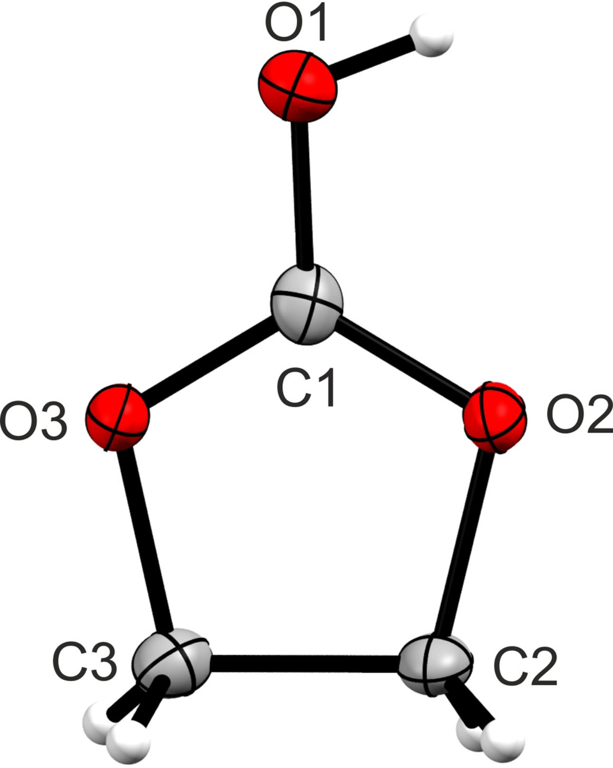 Protonated Ethylene Carbonate: A Highly Resonance‐Stabilized Cation