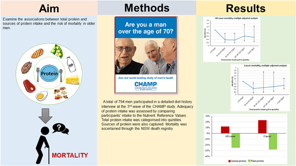 Associations between dietary intake of total protein and sources of protein (plant vs. animal) and risk of all‐cause and cause‐specific mortality in older Australian men: The Concord Health and Ageing in Men Project