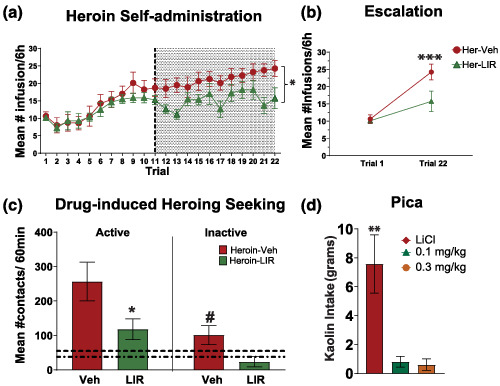 Glucagon‐like peptide‐1 receptor agonist, liraglutide, reduces heroin self‐administration and drug‐induced reinstatement of heroin‐seeking behaviour in rats
