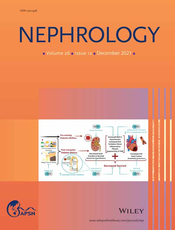 New‐onset immunoglobulin‐A nephropathy post severe acute respiratory syndrome‐coronavirus‐2 infection indicates rapidly progressive glomerulonephritis