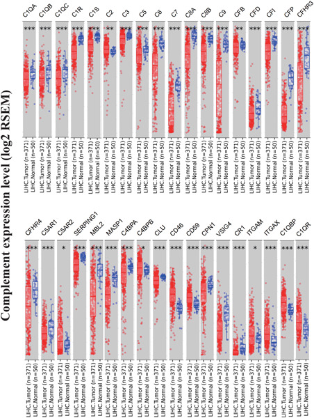 The role of complement in the clinical course of hepatocellular carcinoma