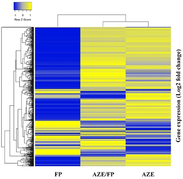 Nasal immune gene expression in response to azelastine and fluticasone propionate combination or monotherapy