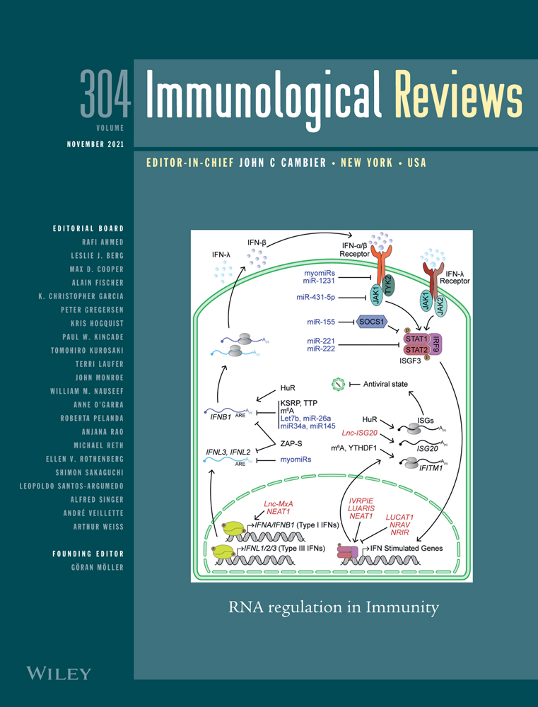 RNA regulation in immunity