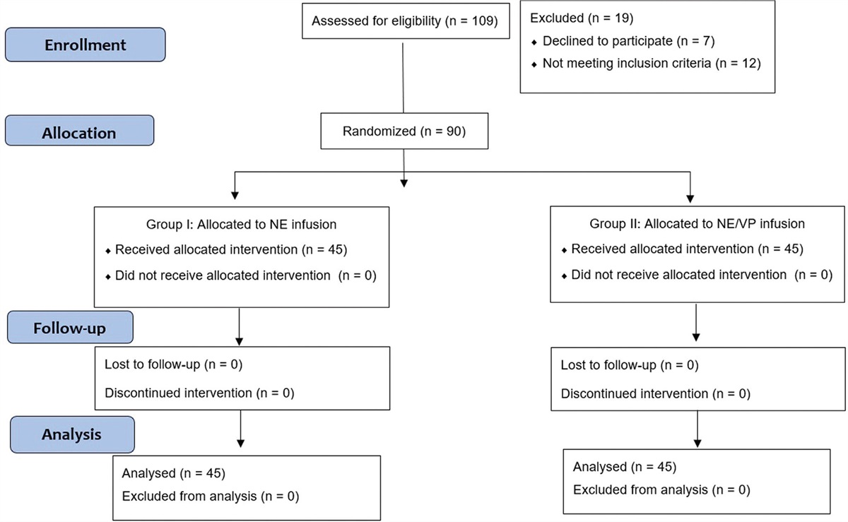 Comparison Between Norepinephrine Alone Versus Norepinephrine/Vasopressin Combination for Resuscitation in Septic Shock: A Randomized Clinical Trial