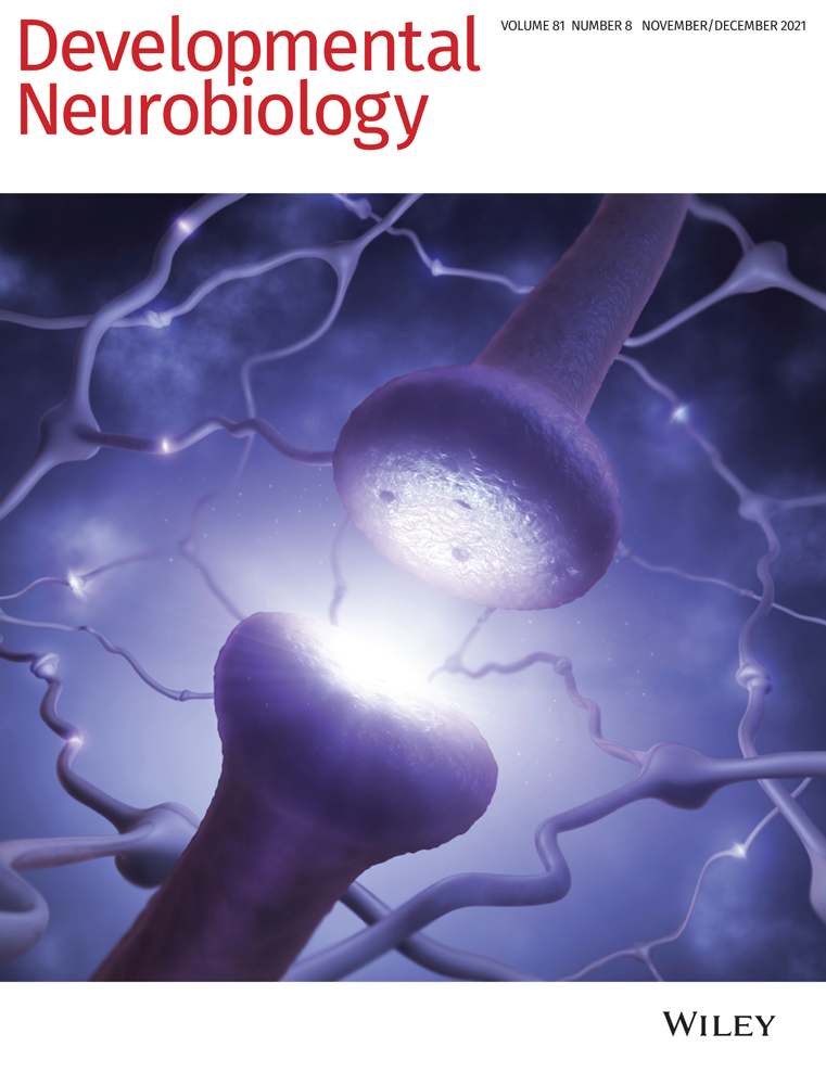 Effect of LncRNA H19 on nerve degeneration and regeneration after sciatic nerve injury in rats