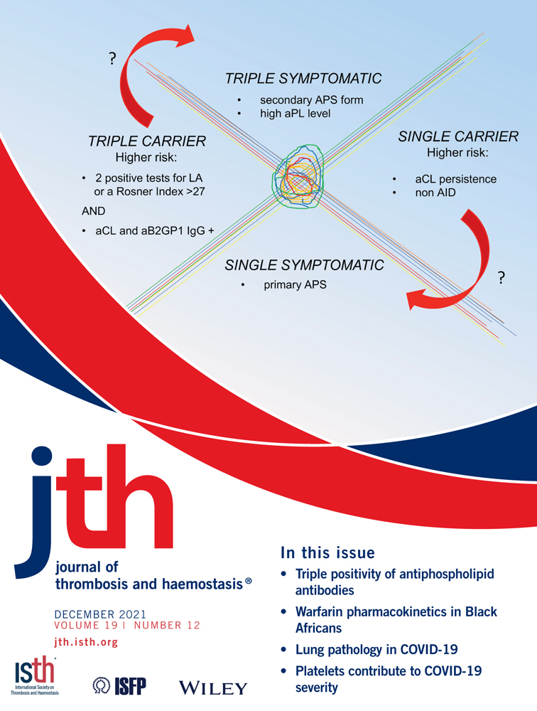 Extended anticoagulation treatment for cancer‐associated thrombosis ‐ rates of recurrence and bleeding beyond 6 months: A systematic review