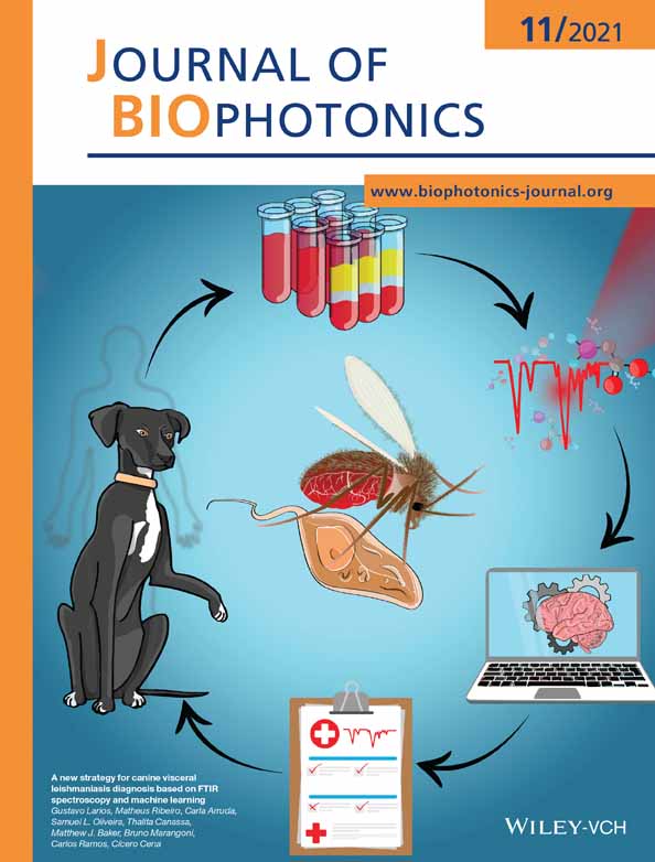 Stimulatory Responses in α‐ and β‐Cells by Near‐Infrared (810 nm) Photobiomodulation