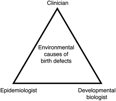 Better communication between experts is needed to solve the environmental origins of birth defects