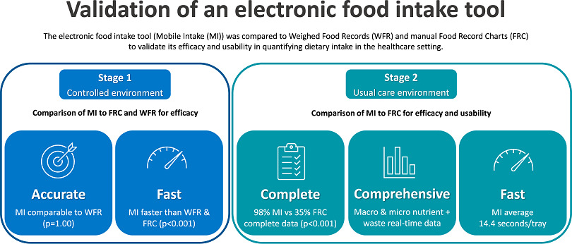Validation of an electronic food intake tool and its usability and efficacy in the healthcare setting