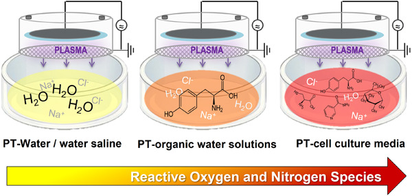 The active role of organic molecules in the formation of long‐lived reactive oxygen and nitrogen species in plasma‐treated water solutions