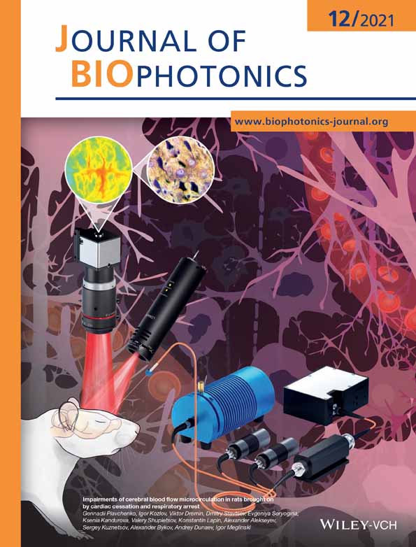 Multi‐modal biomicroscopic system for the characterization of cells with high spatial phase sensitivity and sub‐pixel accuracy