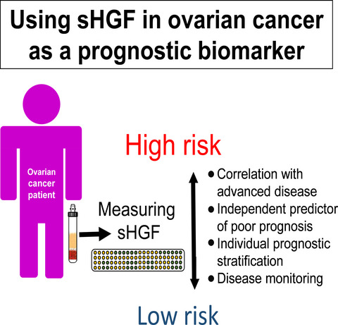 Prognostic relevance of longitudinal HGF levels in serum of patients with ovarian cancer