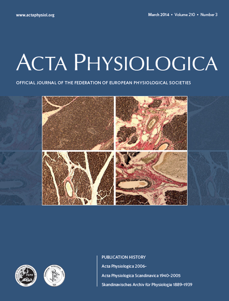 Architectural, functional and molecular responses to concentric and eccentric loading in human skeletal muscle