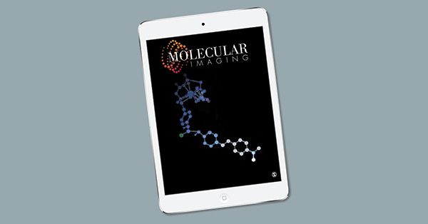 Targeted Imaging Agent to HSP70 Induced In Vivo