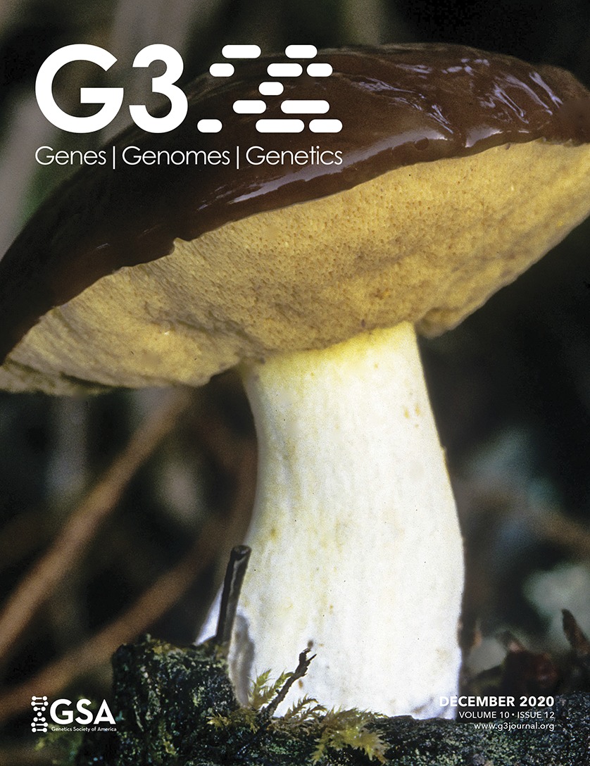 Gene Copy Number Variation Does Not Reflect Structure or Environmental Selection in Two Recently Diverged California Populations of Suillus brevipes