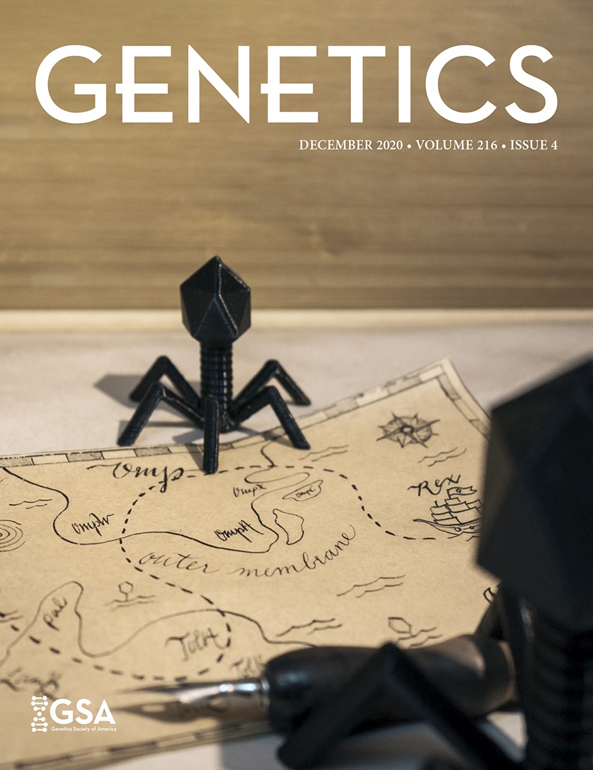 Suppressors of mRNA Decapping Defects Restore Growth Without Major Effects on mRNA Decay Rates or Abundance [Gene Expression]