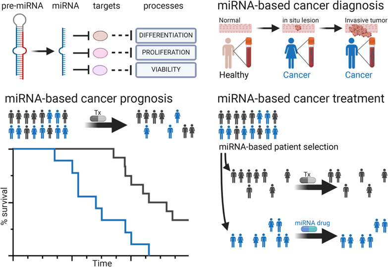 microRNA‐based diagnostic and therapeutic applications in cancer medicine