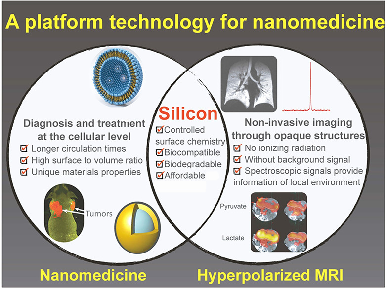 Hyperpolarized MRI with silicon micro and nanoparticles: Principles and applications