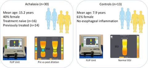 Use of the functional luminal imaging probe in pediatrics: A comparison study of patients with achalasia before and after endoscopic dilation and non‐achalasia controls