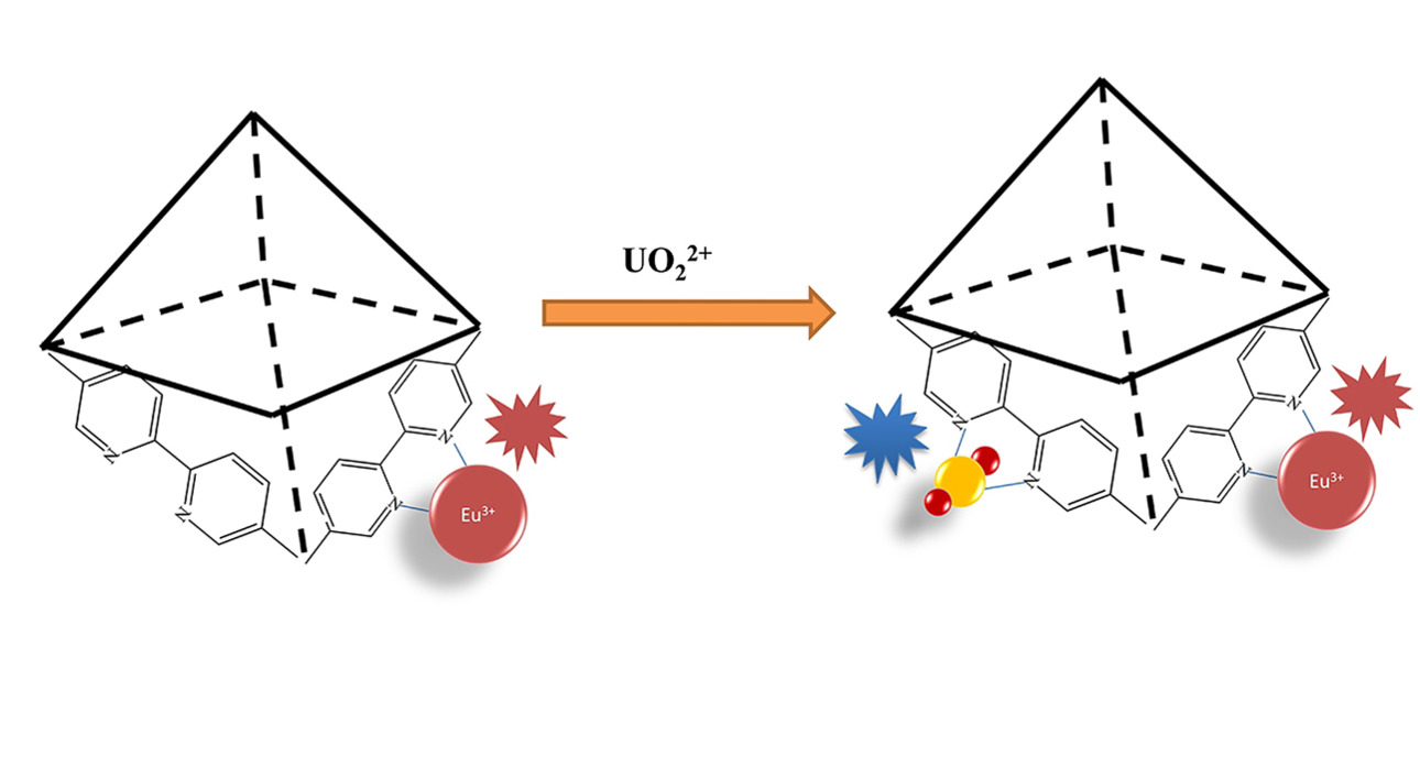 Post‐synthesis metal‐organic framework for turn‐on ratiometric fluorescence sensing of UO22+