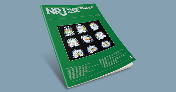 Neuroimaging cerebrovascular biomarkers in Parkinson’s disease