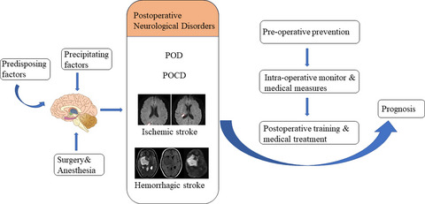 Recent advances and perspectives of postoperative neurological disorders in the elderly surgical patients