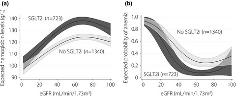 Sodium–glucose cotransporter 2 inhibitors and anemia among diabetes patients in real clinical practice