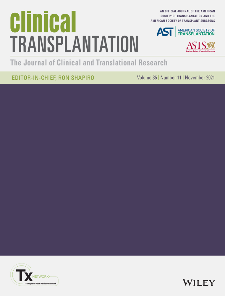 Anonymous living liver donor perspectives on the role of family in their donation experience