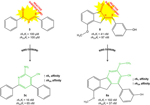 Chalcone‐inspired rA1/A2A adenosine receptor ligands: ring closure as an alternative to a reactive substructure