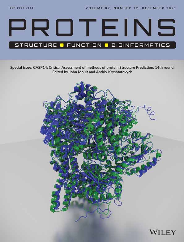 Molecular dynamics and structural analysis of the binding of COP1 E3 ubiquitin ligase to β‐catenin and TRIB pseudokinases