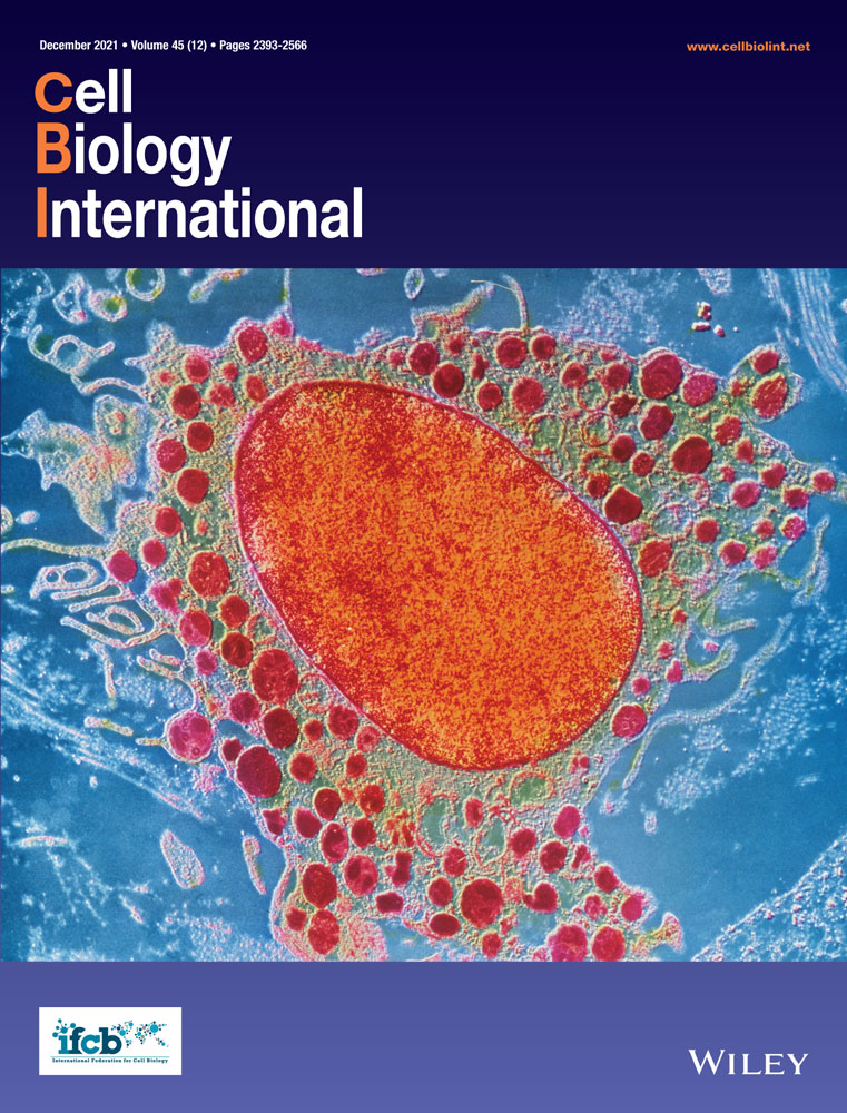 FKBP1A upregulation correlates with poor prognosis and increased metastatic potential of HNSCC.