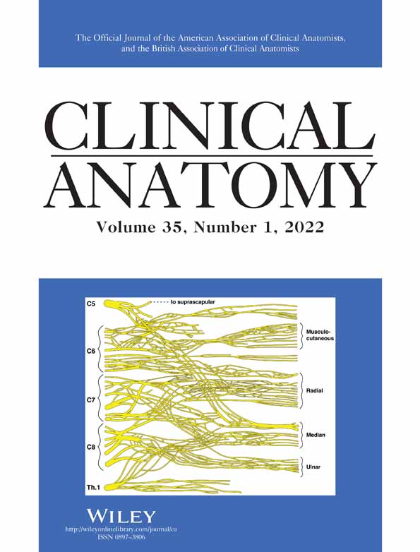 Further abstract presented at the Winter Meeting of the British Association of Clinical Anatomists on 17th December 2019 at the Medical School, Framlington Place, Newcastle University, Newcastle upon Tyne, UK