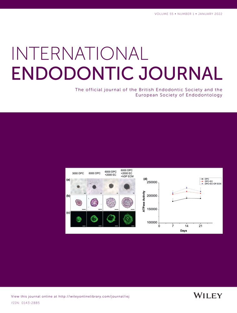 The Bristish Endodontic Society – Editorial