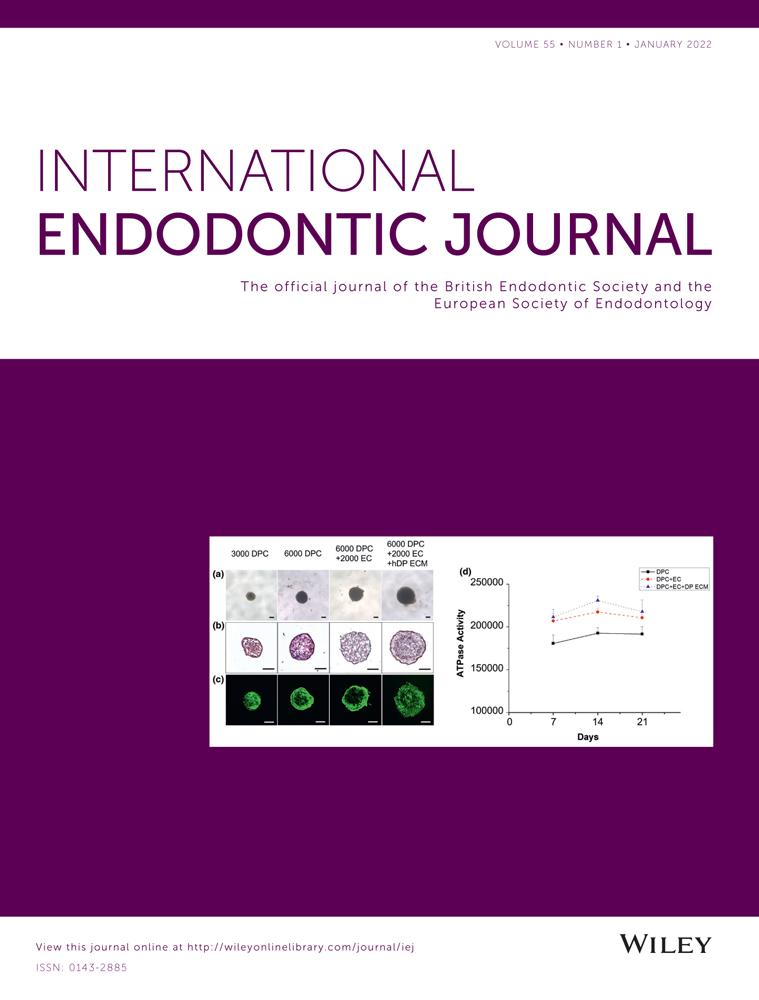 International Endodontic Journal 2022 – The beginning of a new era