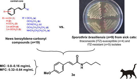 Bioisosteric modification on benzylidene‐carbonyl compounds improved the drug‐likeness and maintained the antifungal activity against Sporothrix brasiliensis